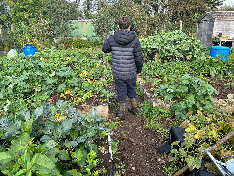 hawthorns farm