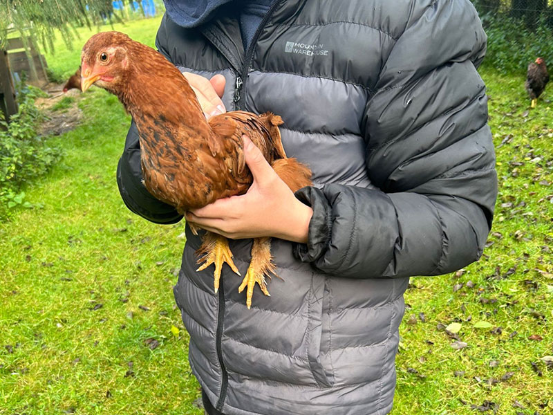 hawthorns farm